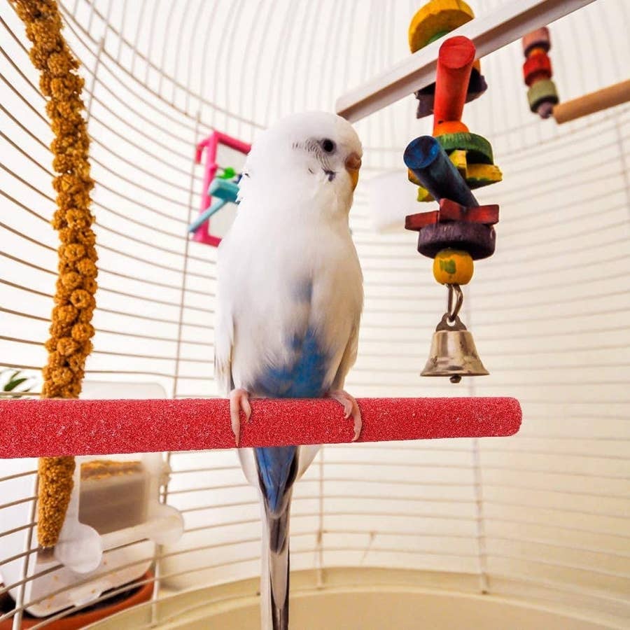 Portable Travel Bird Carrier Cage For Parrots - 19"x15"x25", Heavy Duty Wrought Iron, With Bowls & Play Perch