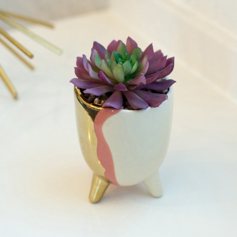 small planter with gold, pink, and white streaks with purple and green succulent inside 