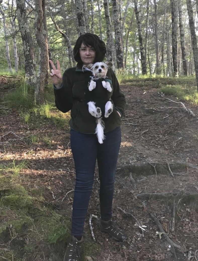 A small dog sits comfortably in a pet carrier attached to its owner&#x27;s front chest while hiking in the woods