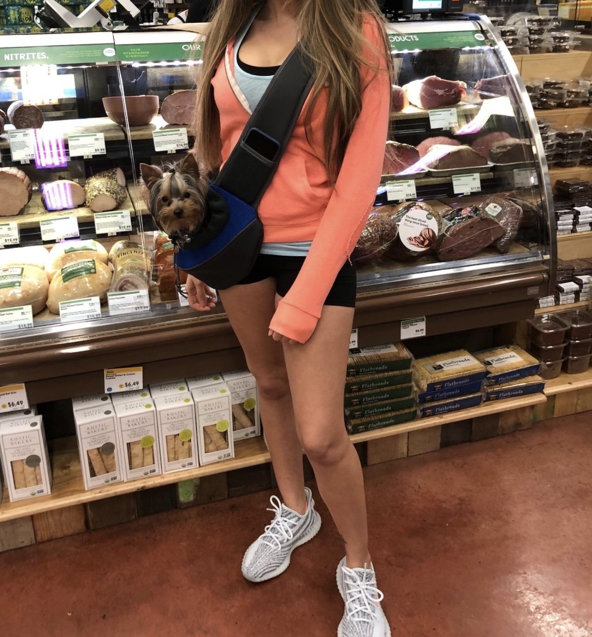 A small yorkie sits inside a pet sling around its owner&#x27;s shoulders in a grocery store