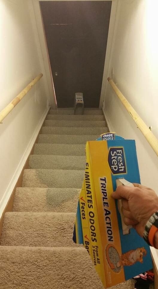 stairs covered in cat litter
