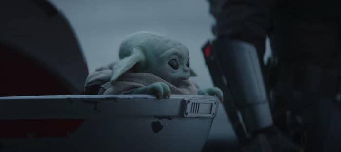 Baby Yoda in their cradle