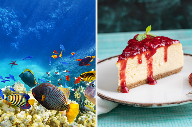 underwater and cheesecake