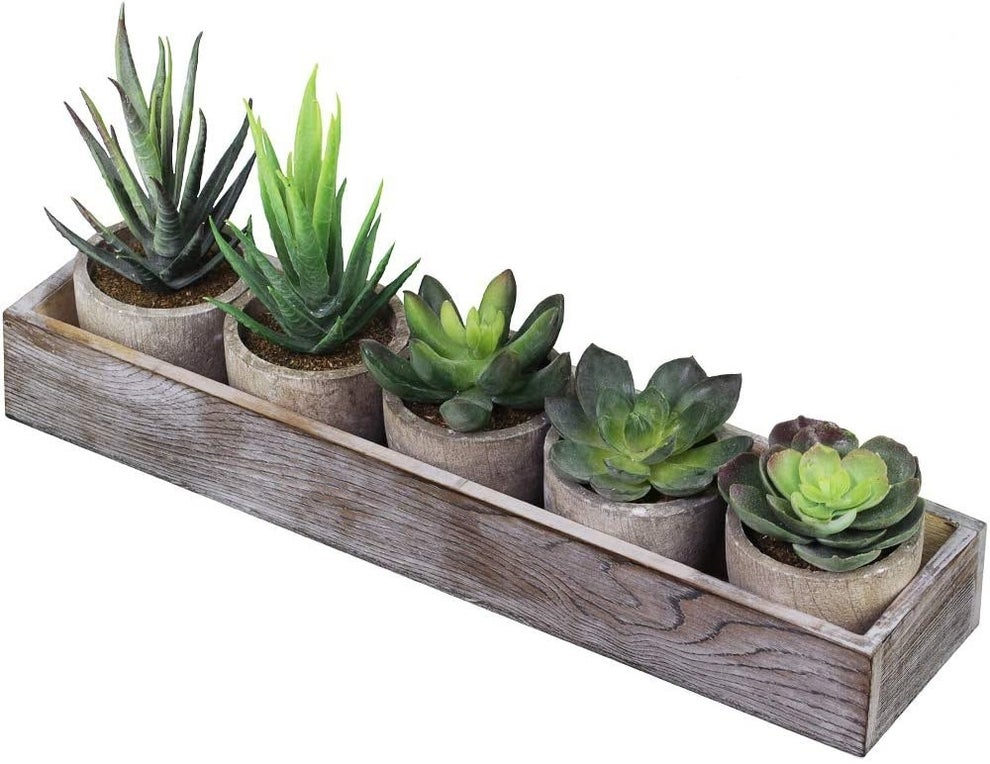 21 Fake Plants You Can Buy For Under $30 That Look Real