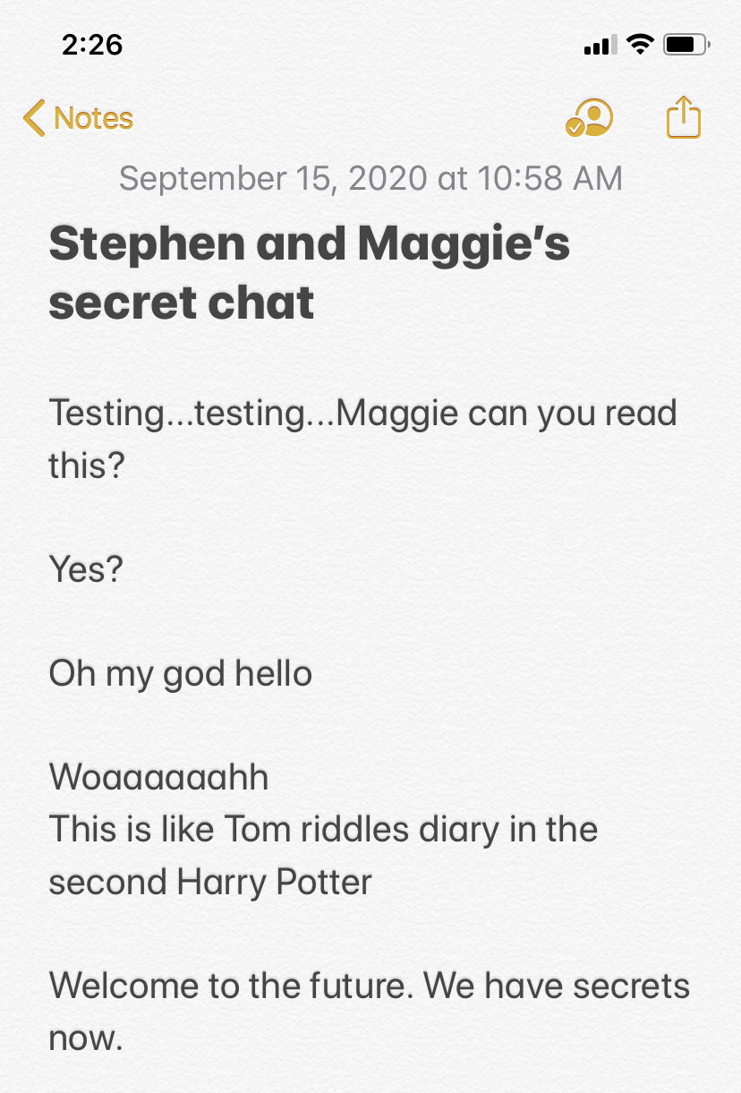 Screenshot of a Notes app conversation