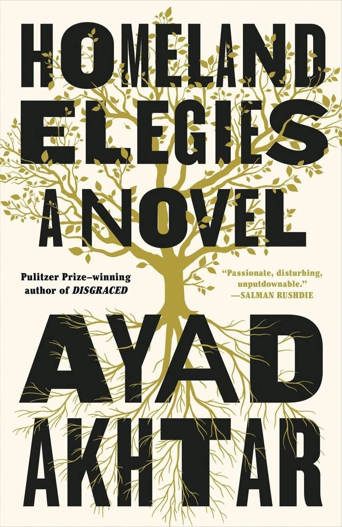 Homeland Elegies book cover