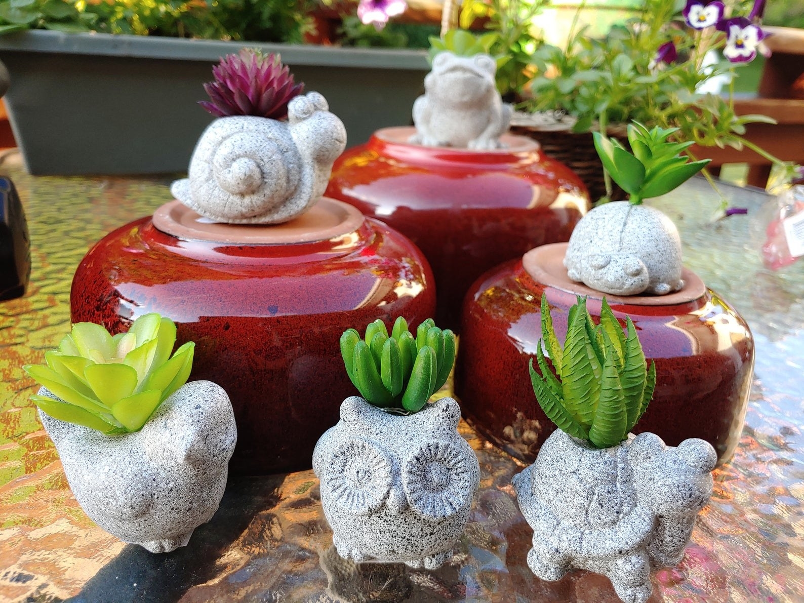 Six faux succulents in planters shaped like an owl, turtle, snail, frog, bird, and lady bug