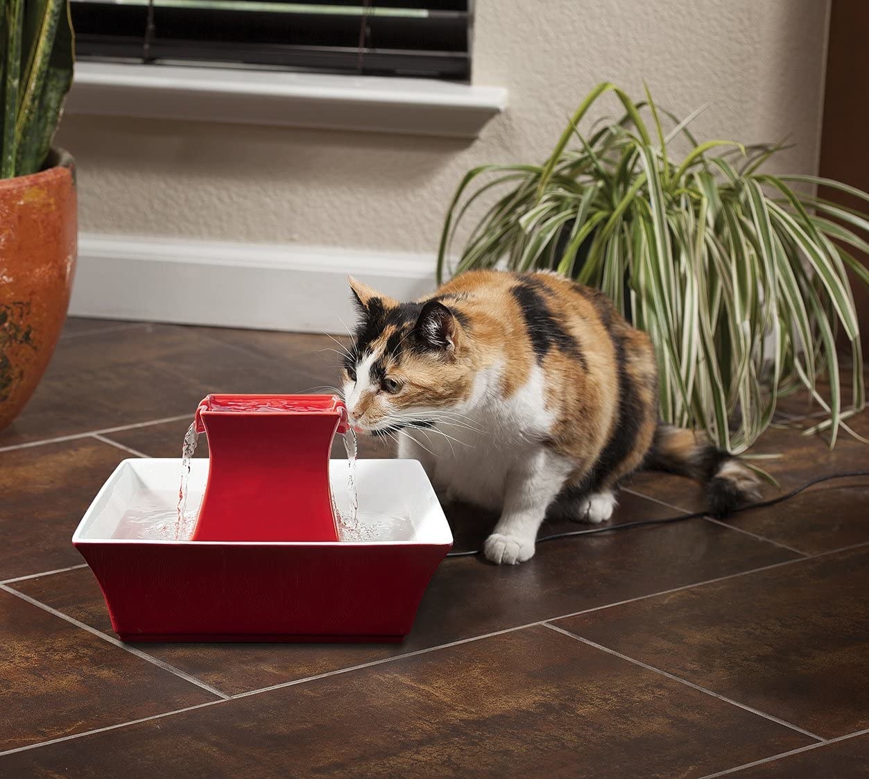 The pet fountain in red, with a short rectangular tube emitting streams of water on two sides, and a large square bowl around the bottom to catch the water