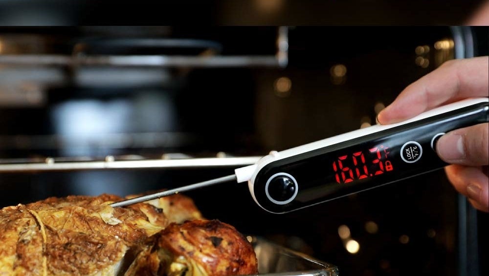 person using meat thermometer to check the temperature of a roast chicken
