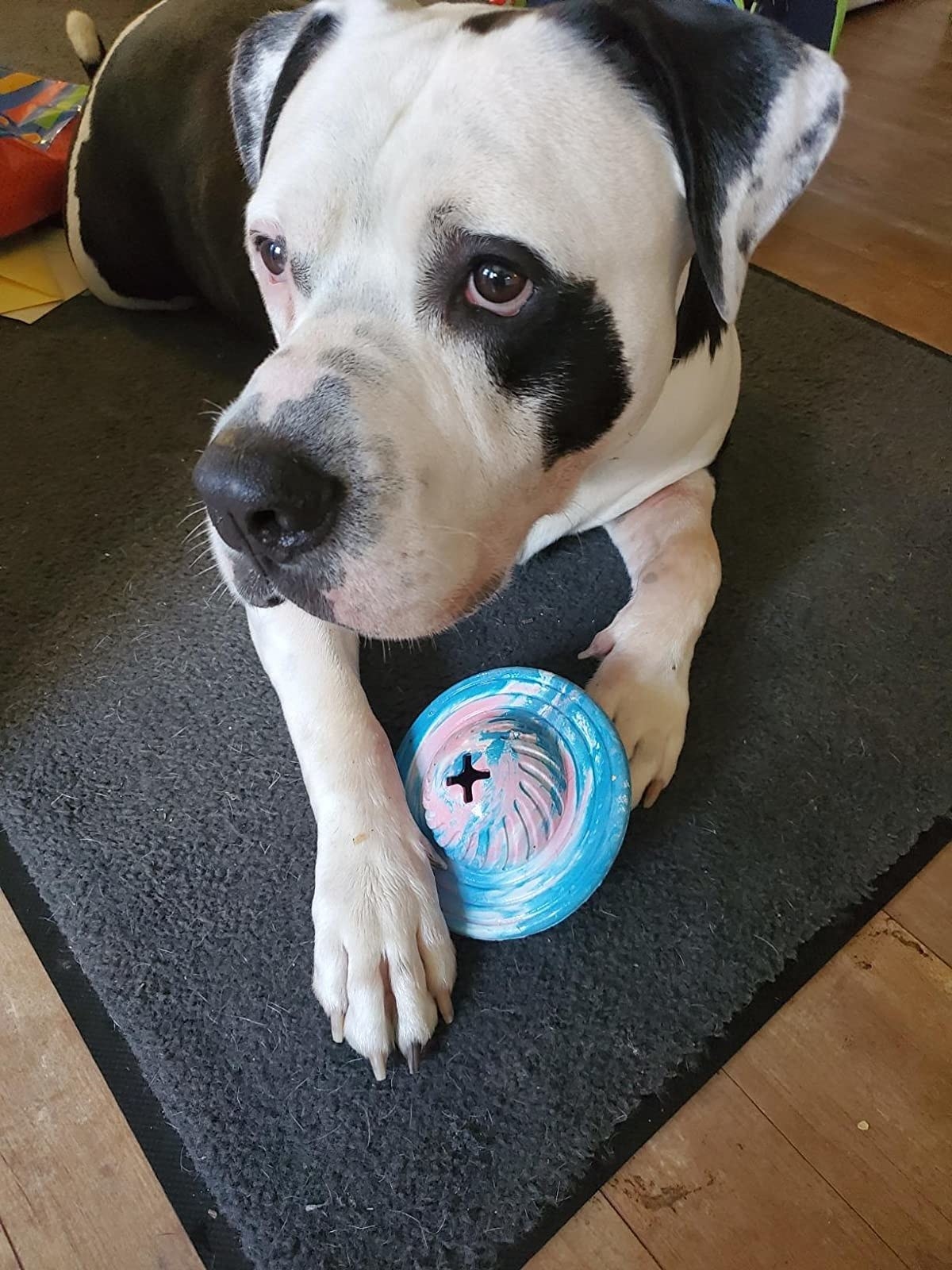 The toy, which has a UFO shape, with cross-shaped holes at the top and bottom for treats