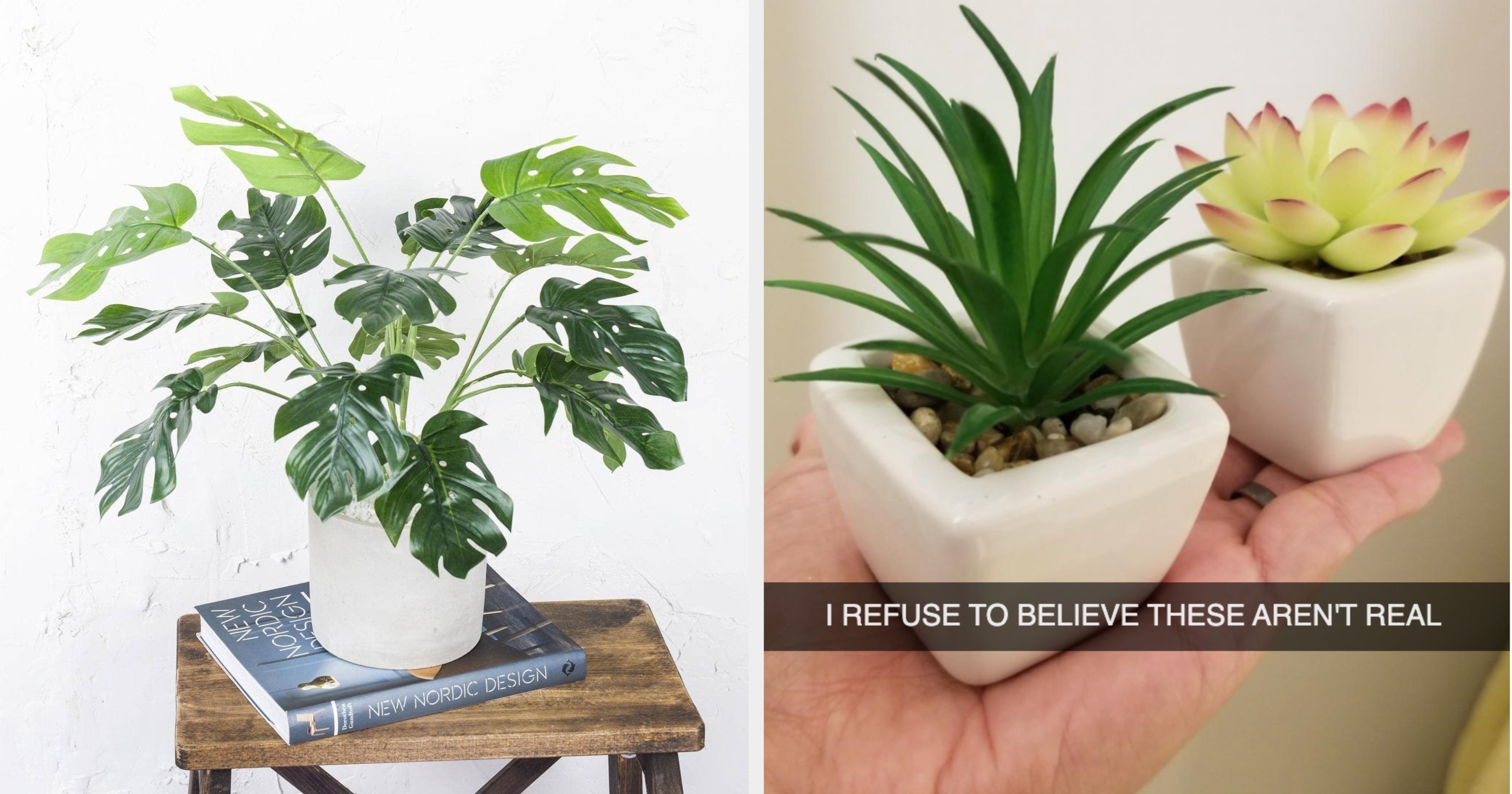 21 Fake Plants You Can Buy For Under 30 That Look Real