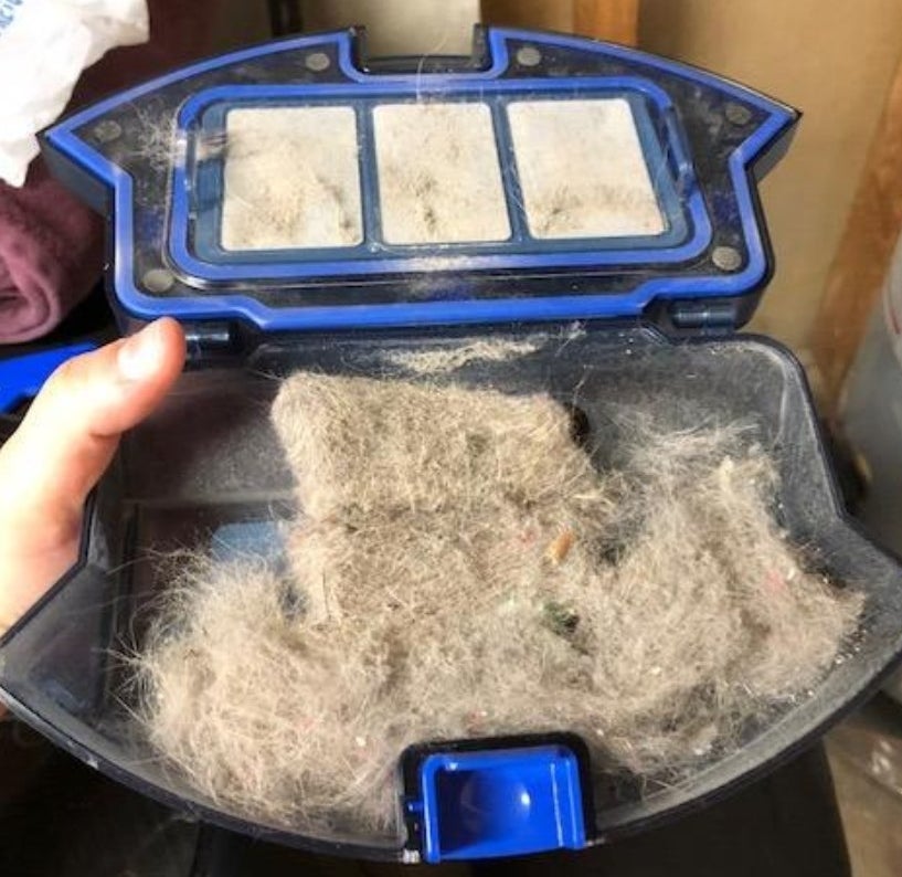 Reviewer showing pet hair caught by the robot vacuum