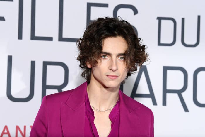 Timothée poses at the &quot;Little Women&quot; premiere in France