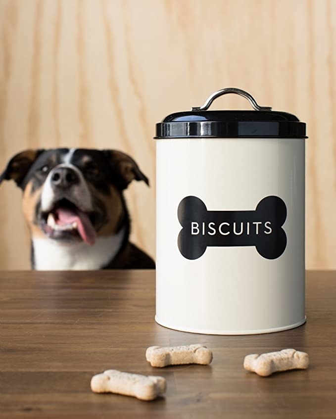 The cylindrical tin, with the word &quot;Biscuits&quot; written in a bone-shaped design on the side, 