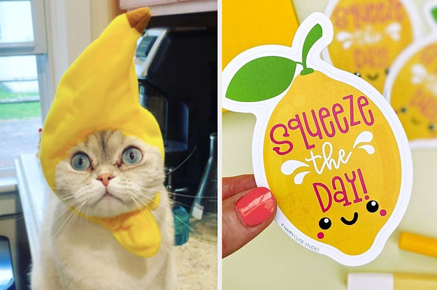 On the left, a cat in a banana hat. On the right, a large lemon sticker that reads