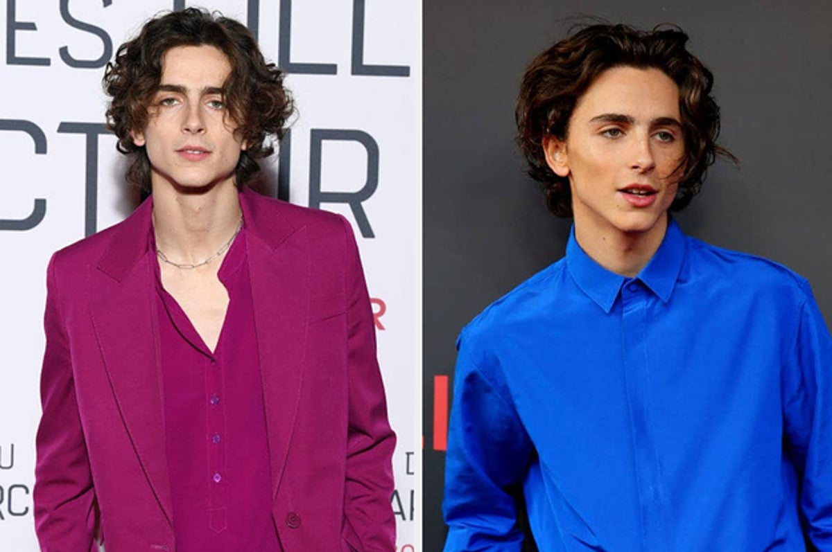 Timothée Chalamet Wore a Shimmery Halter Top to the 'Bones And All