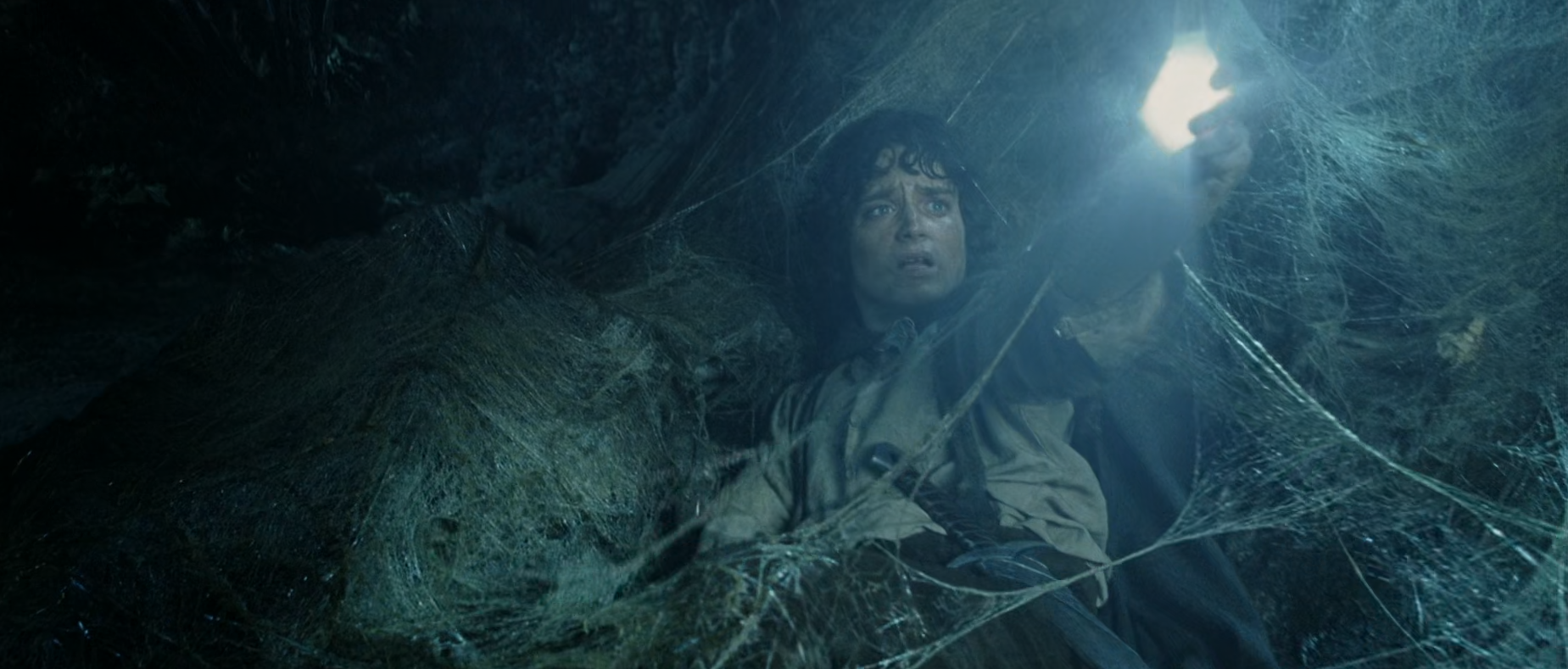 Frodo from shining a bright light in Shelob&#x27;s tunnel