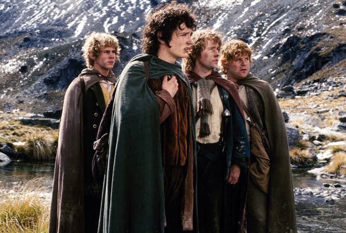 Frodo, Sam, Merry and Pippin looking off in the distance