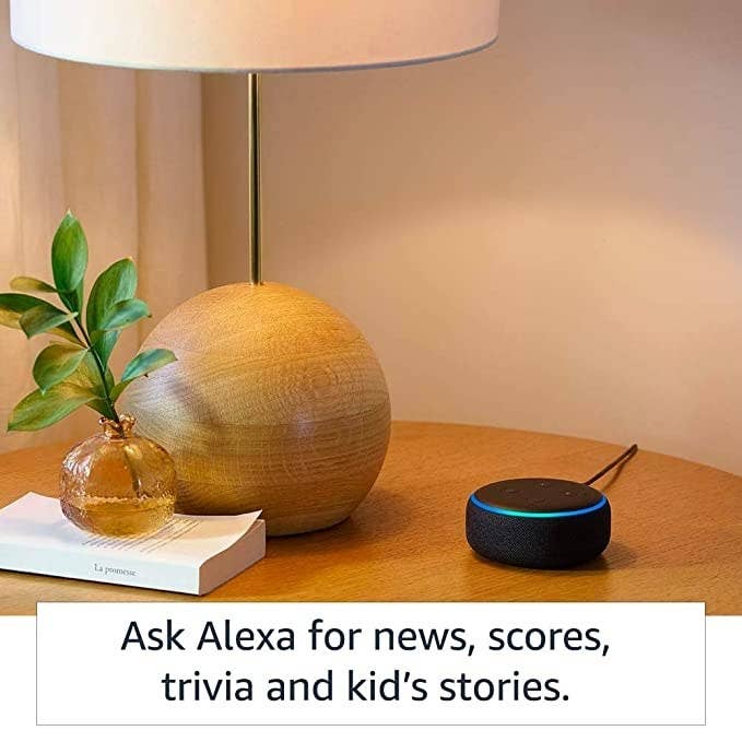 Echo dot speaker on a table next to to a plant and a book.