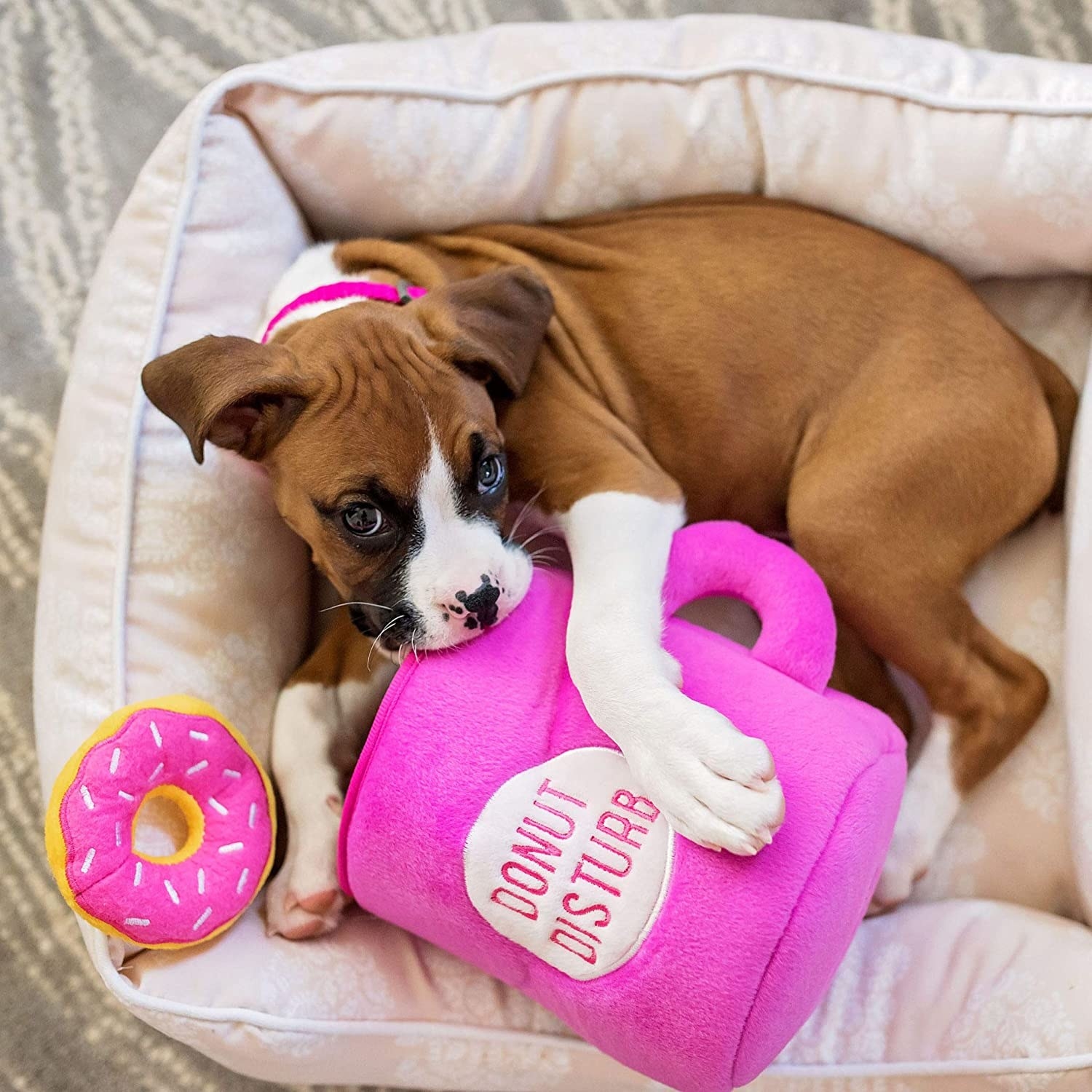 A dog plays with the coffee mug burrow toy, and one donut squeaky toy