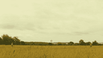 GIF of boy and girl from Moonrise Kingdom looking at each other from across a field