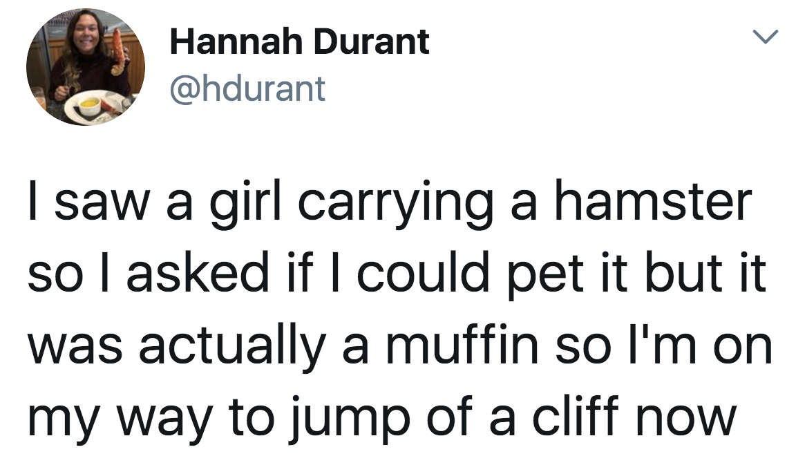 tweet reading i saw a girl carrying a hamster so i asked if i could pet it but it was actually a muffin