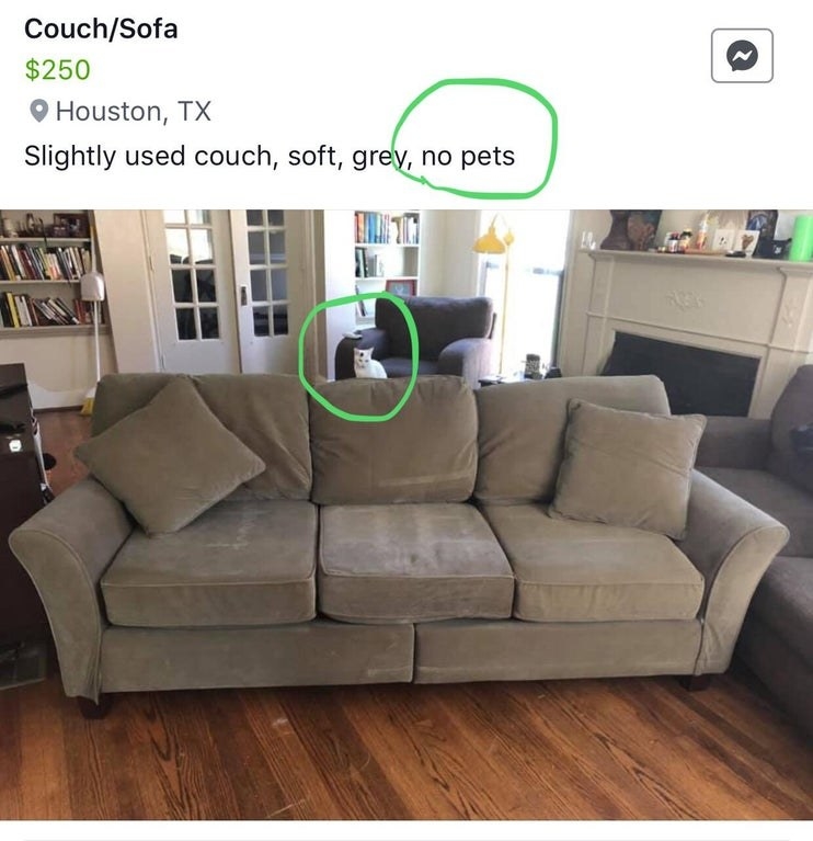 A listing for a couch for sale that says &quot;no pets&quot; but there&#x27;s a cat sitting on the couch in the photo