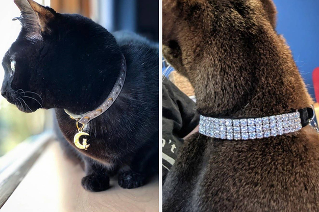 cute male cat collars,Limited Time 
