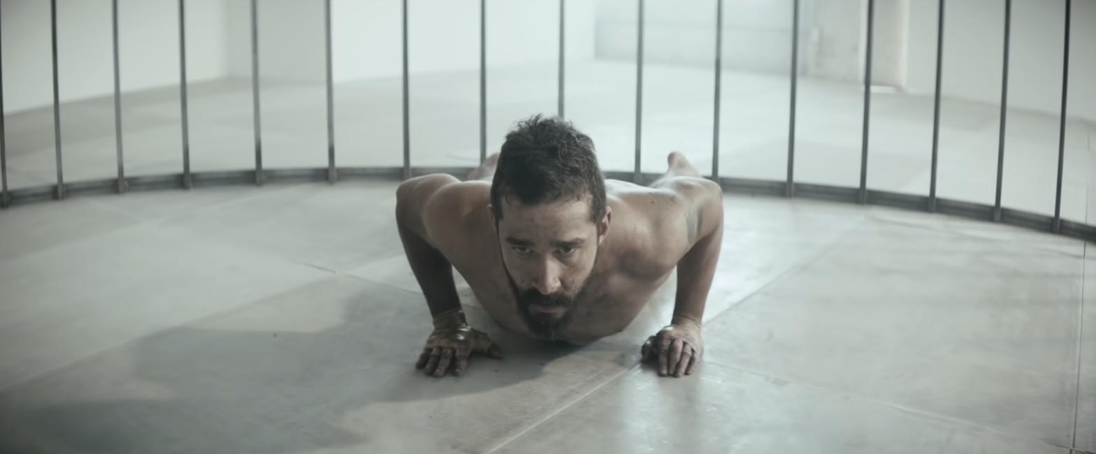 Shia laying on the floor of a cage. 