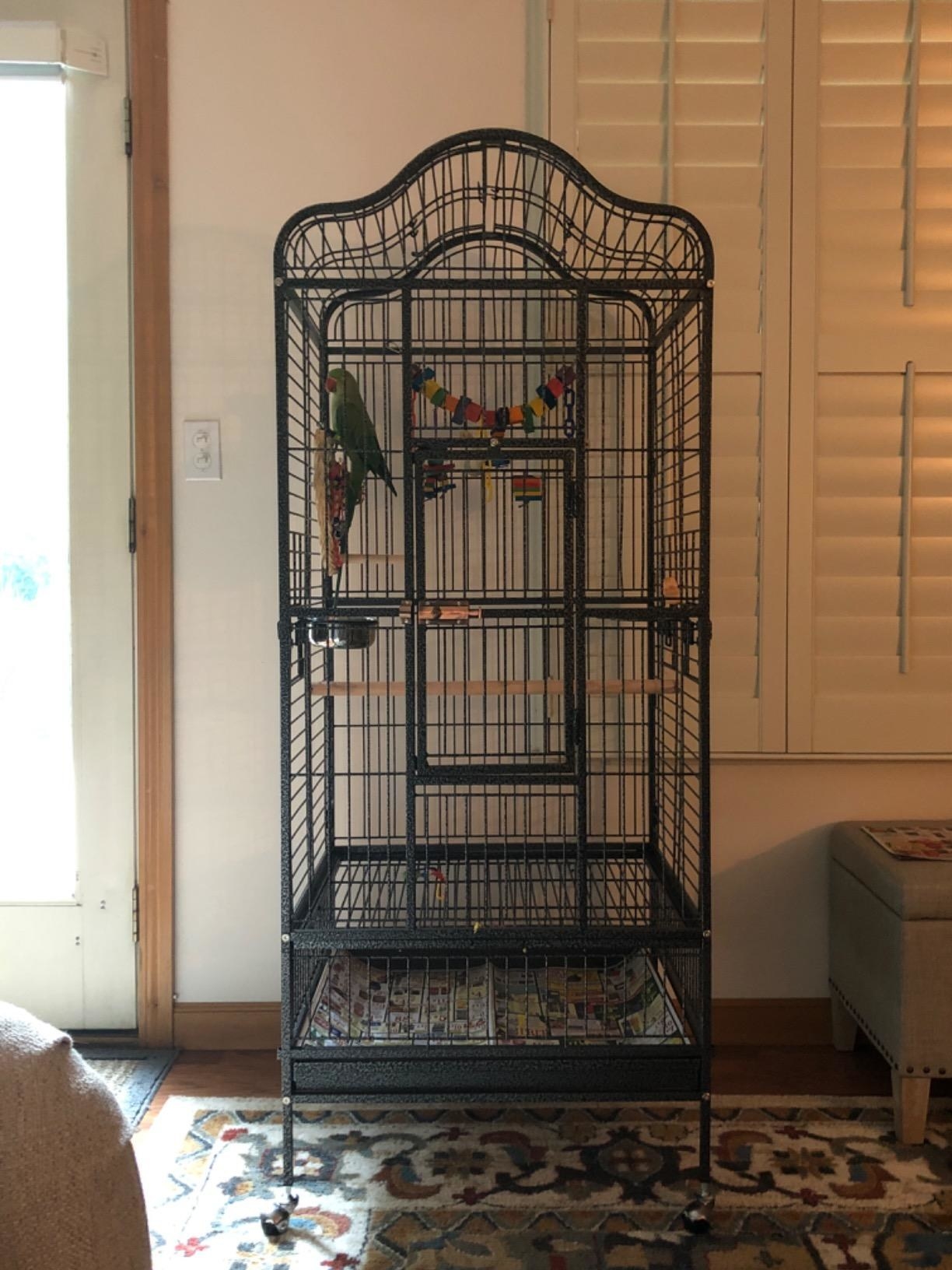 A tall black wrought iron bird cage, with a rounded roof