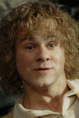 What 'Lord of The Rings' Actors Look Like After 16 Years / Bright Side