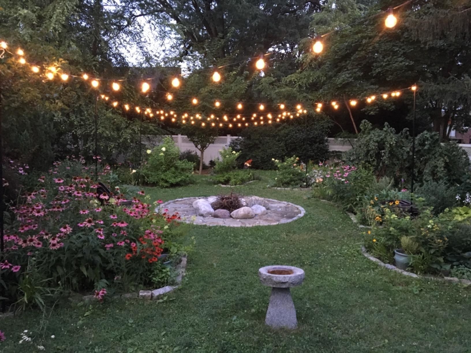 A garden with string lights overhead.