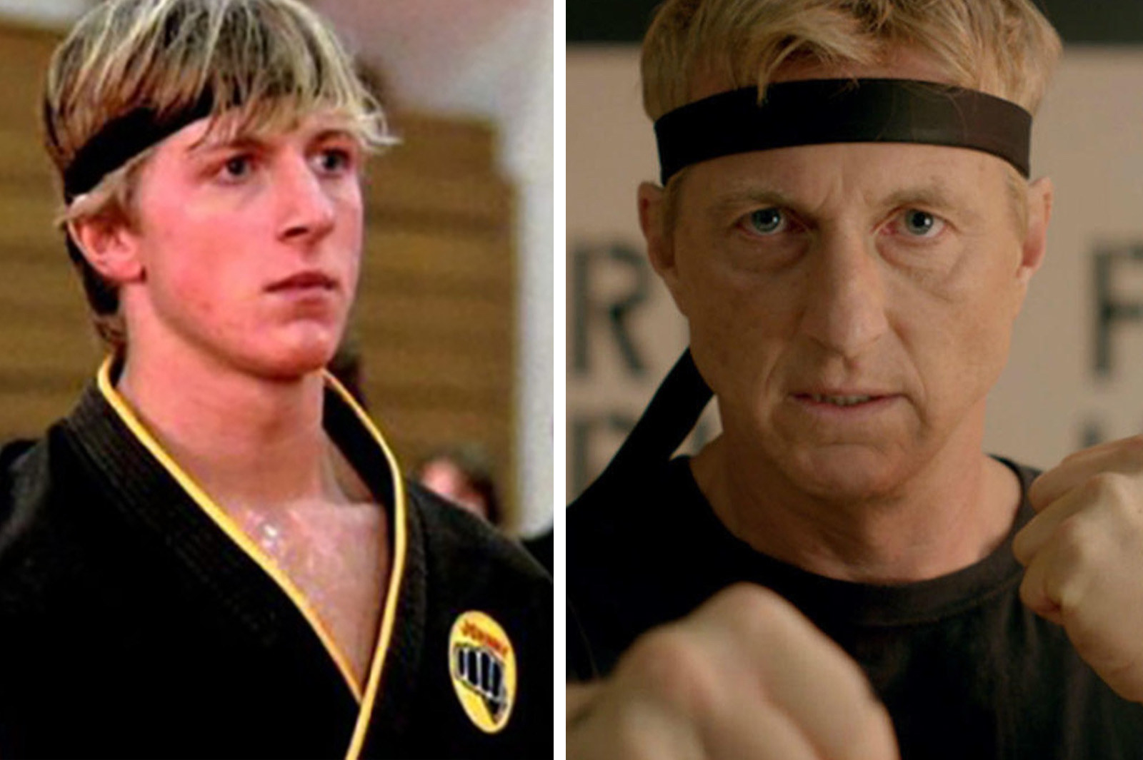  Cobra Kai - Season 01 / Cobra Kai - Season 02 - Set : Macchio,  Ralph, Zabka, William, Henggeler, Courtney, Mariduena, Xolo, Buchanan,  Tanner, Mouser, Mary, Bertrand, Jacob, Brown, Nichole, Decenzo