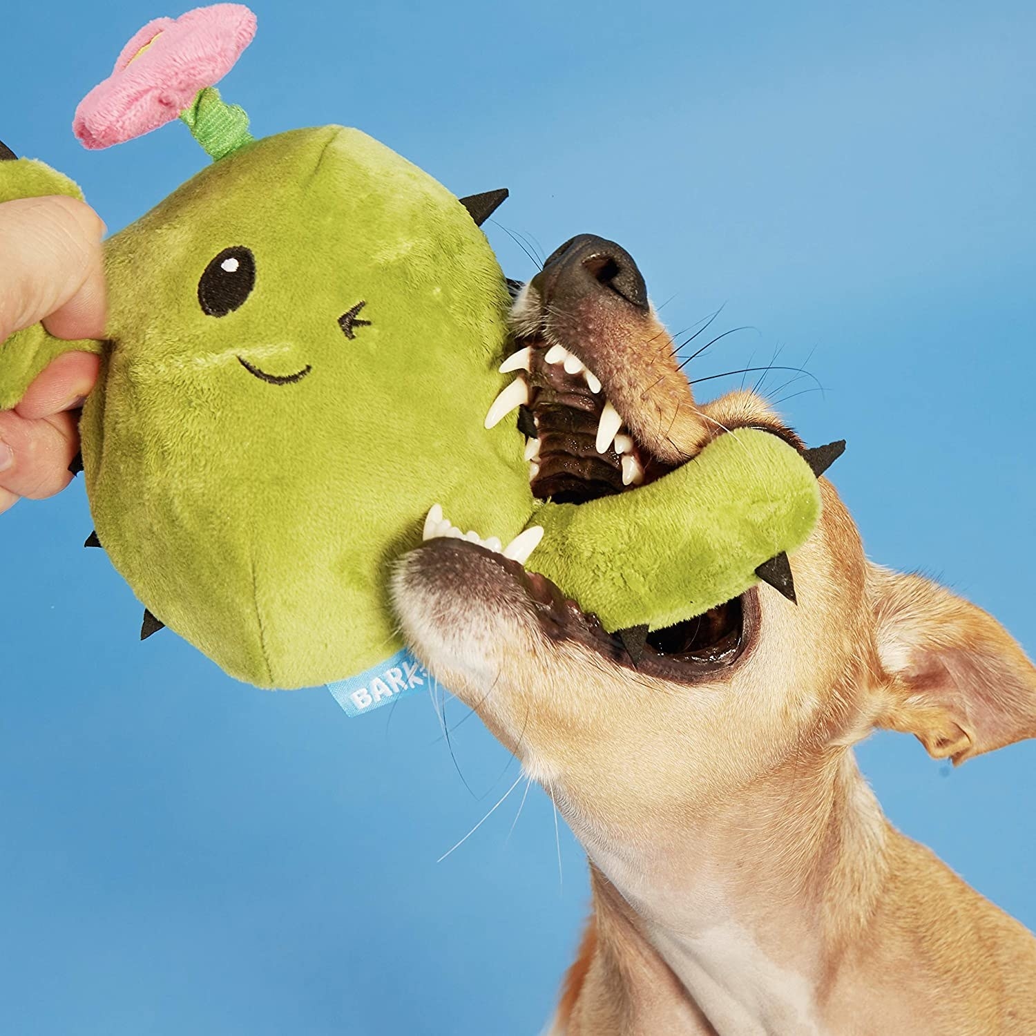 A dog chewing on a green plush cactus toy