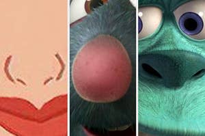 Mulan's nose, Remy's nose, and Sulley's nose closeup
