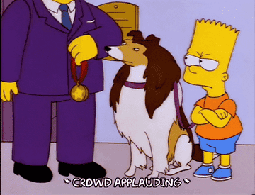 Gif of dog getting an award