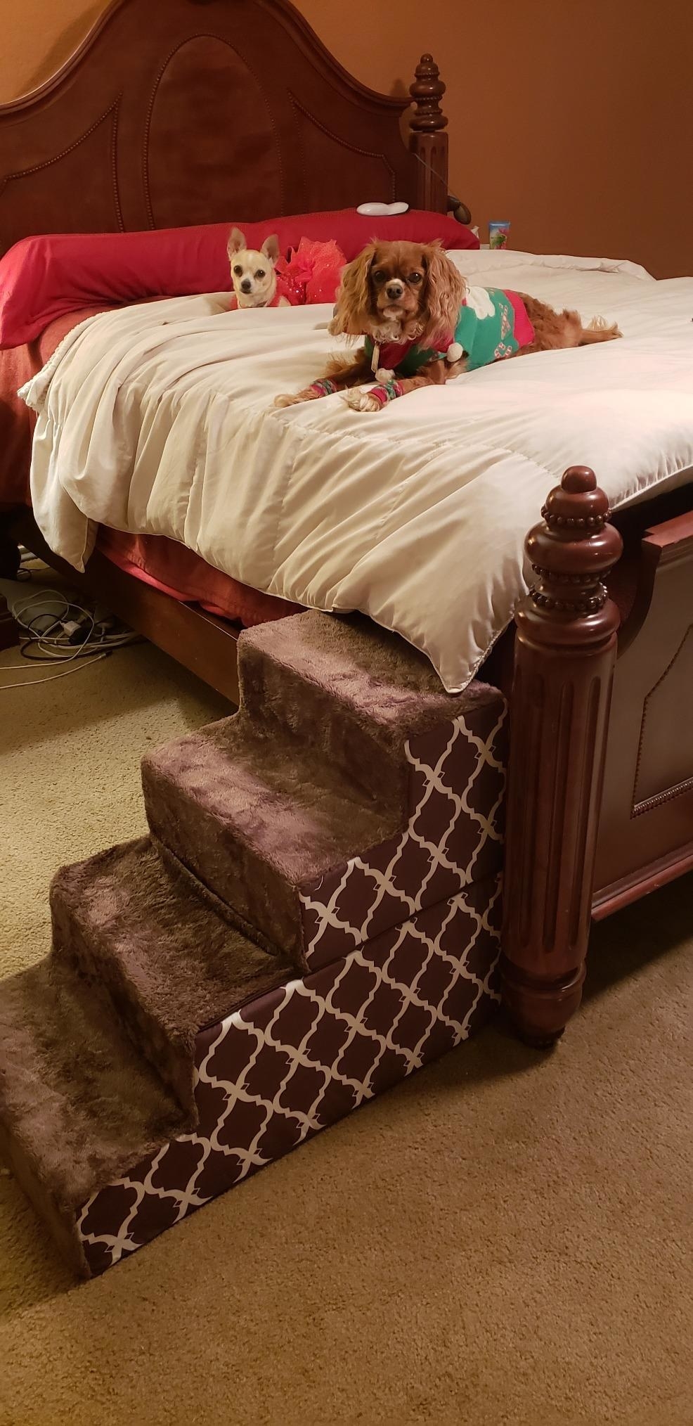 The stairs in a lattice print pattern, set up next to a full-sized bed