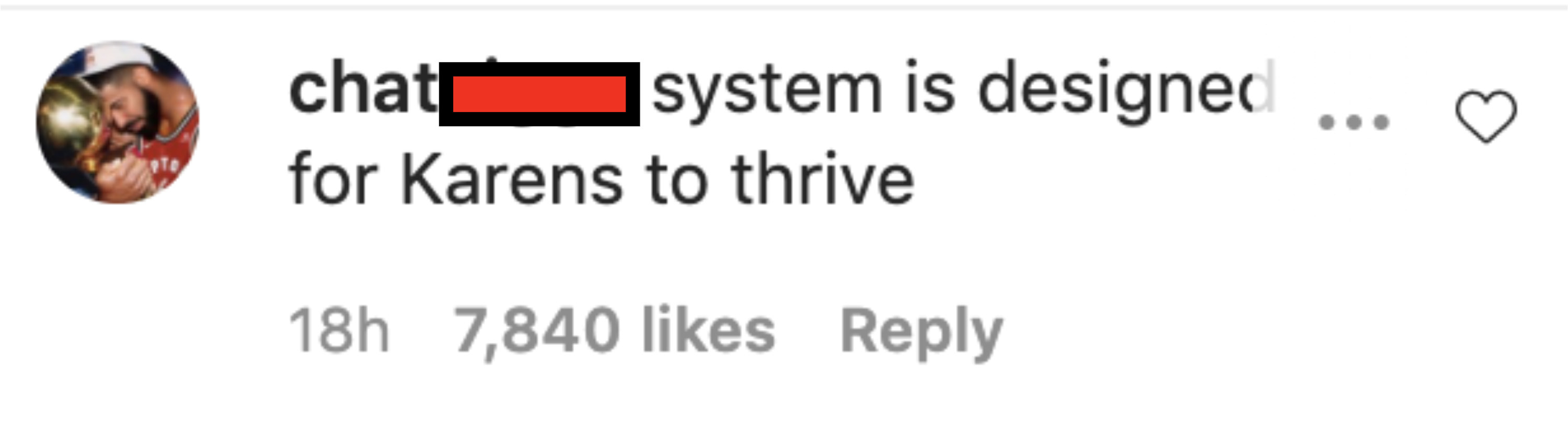Comment saying, &quot;System is designed for Karens to thrive.&quot;