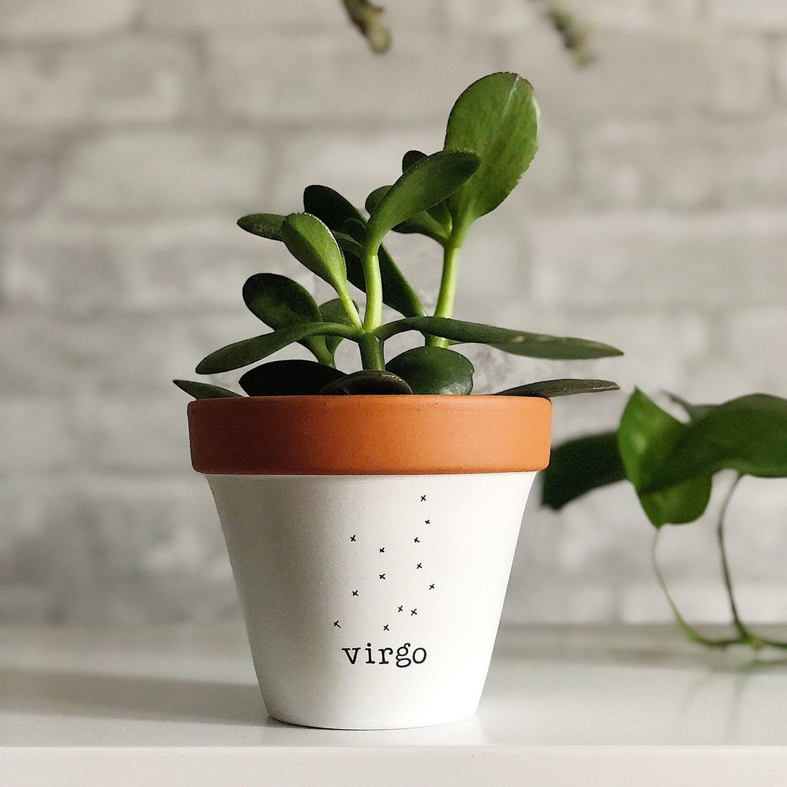 The plant pot with a plant inside