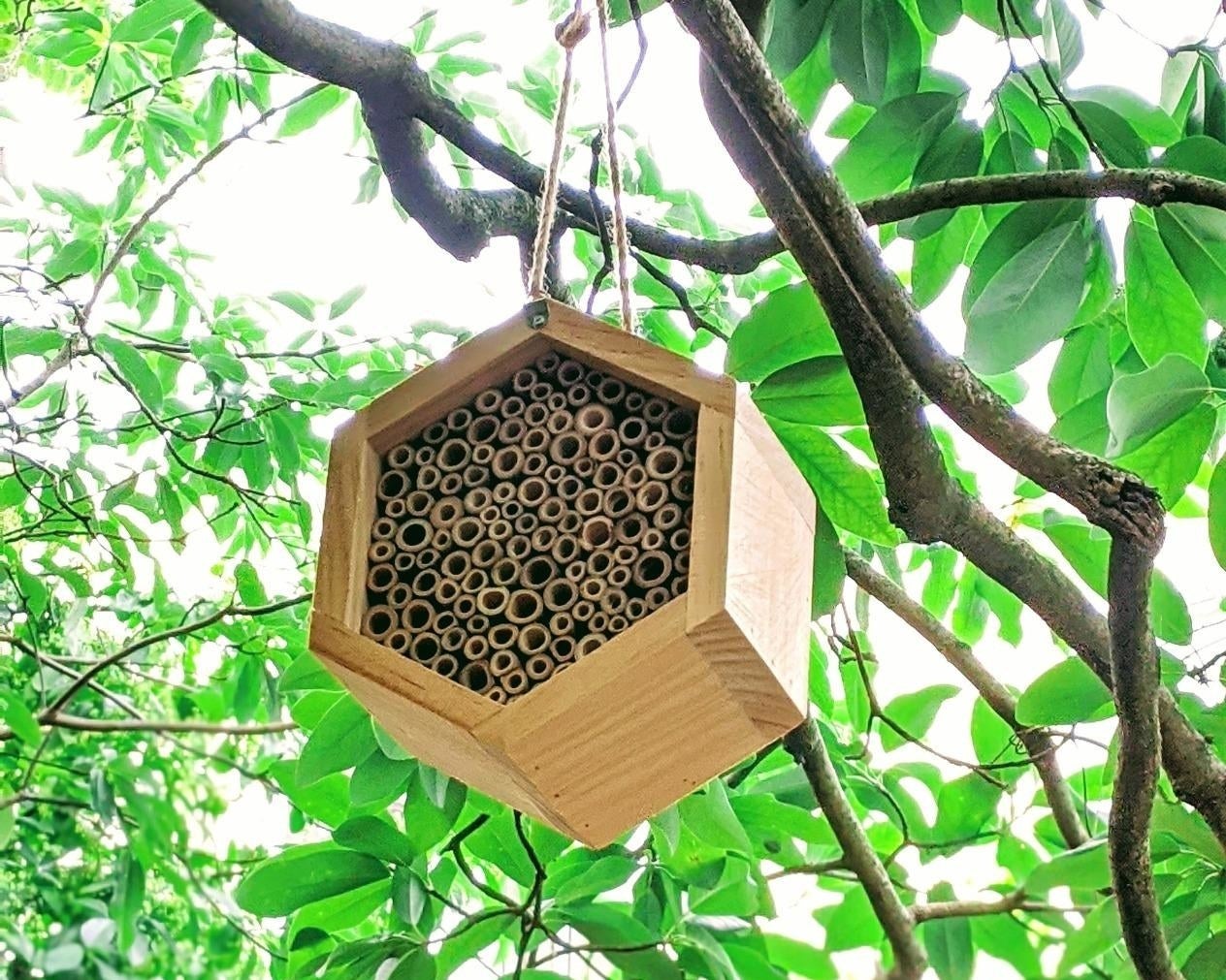 Reviewer photo of the bee house, which is made with pre-rolled tubes that give bees plenty of small places to nest