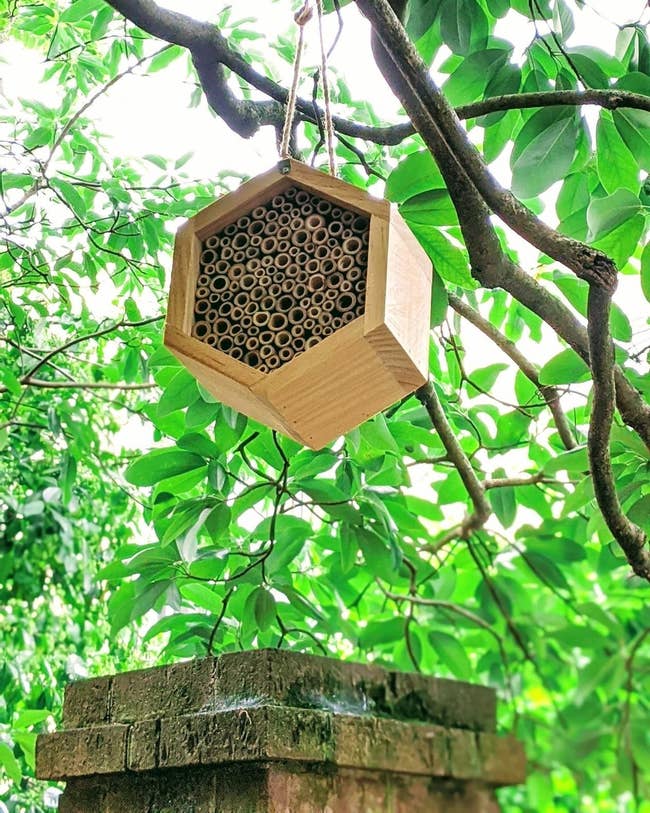 Reviewer photo of the bee house, which is made with pre-rolled tubes that give bees plenty of small places to nest