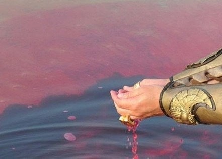 Água transformada em sangue.