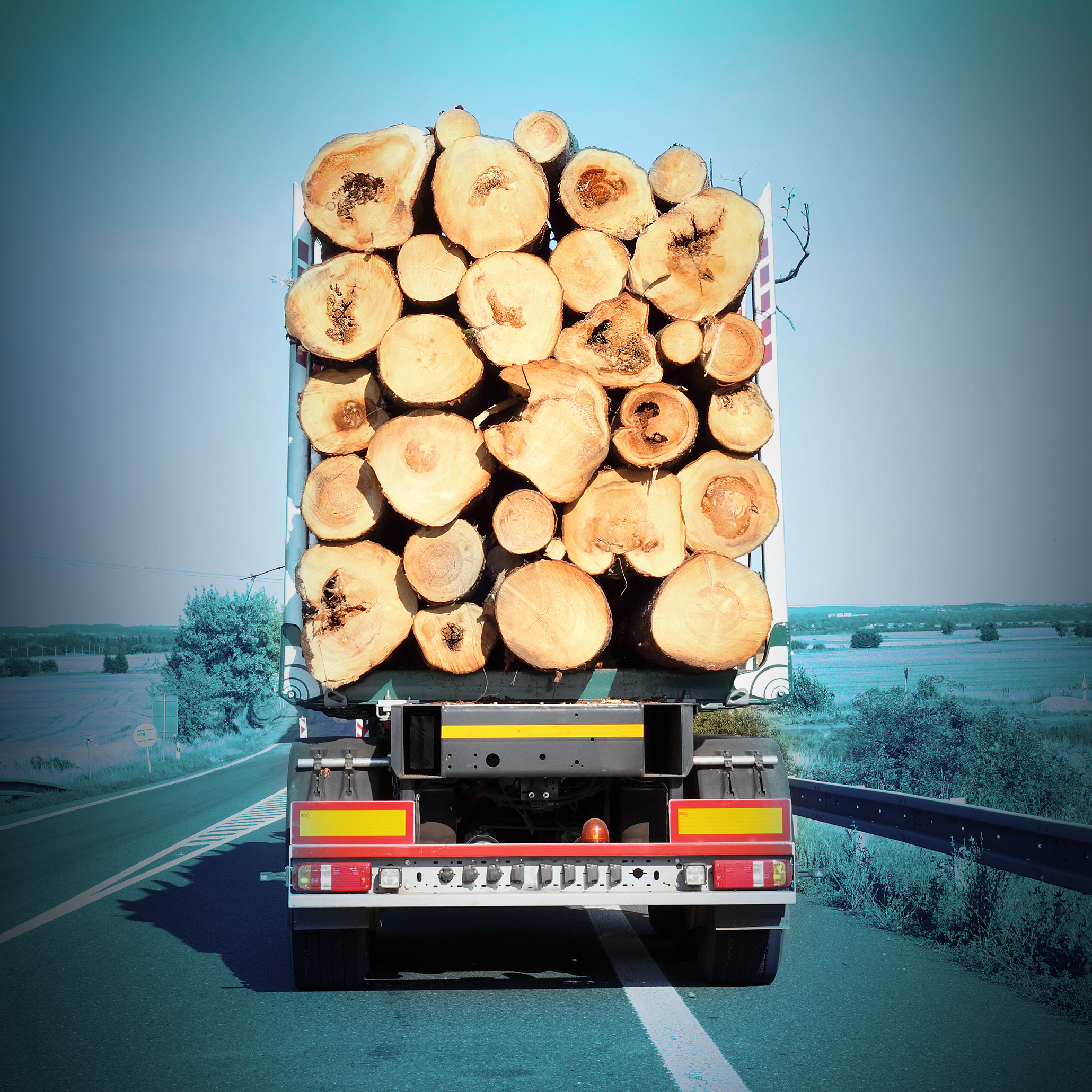 logs on the back of a truck