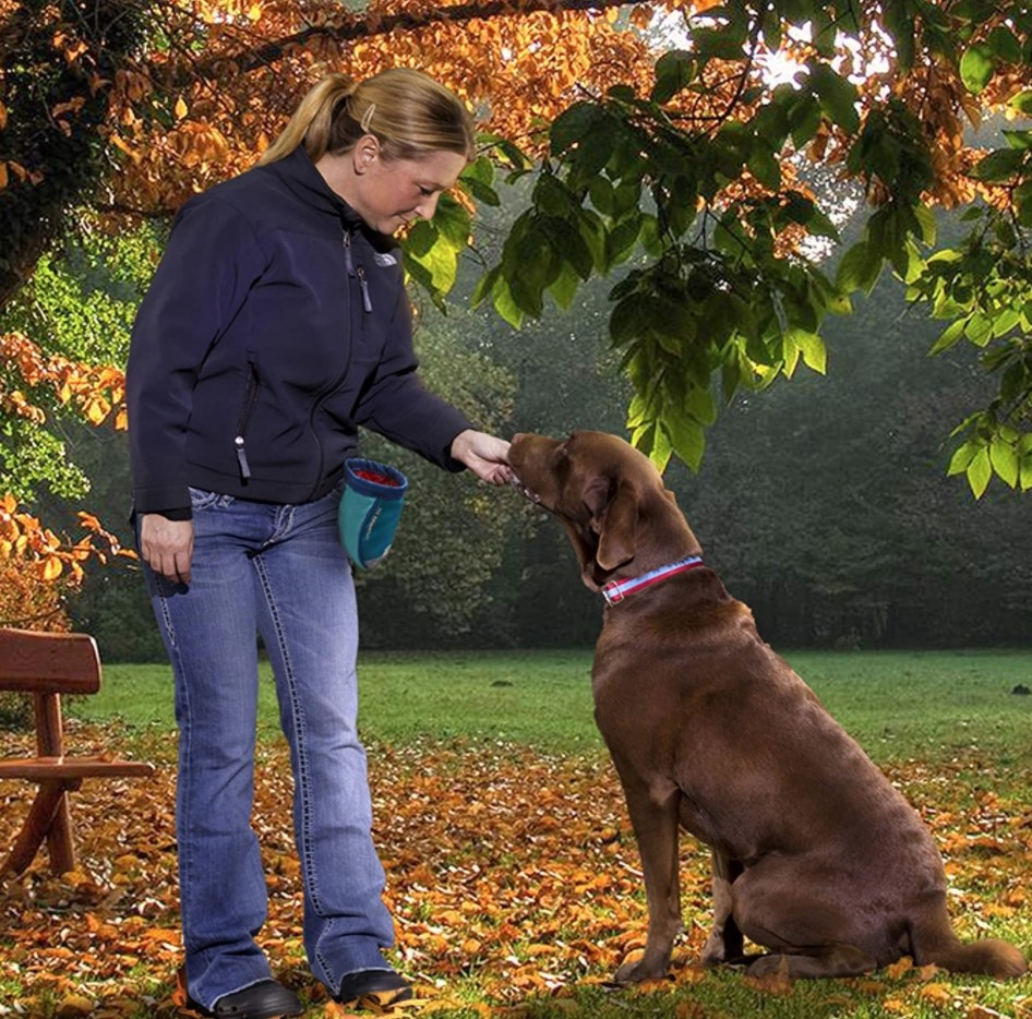 Dog being a good boy while owner gives treats from her treat pouch