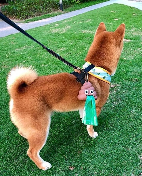 Dog wearing a leash with the poop emoji waste dispenser holder