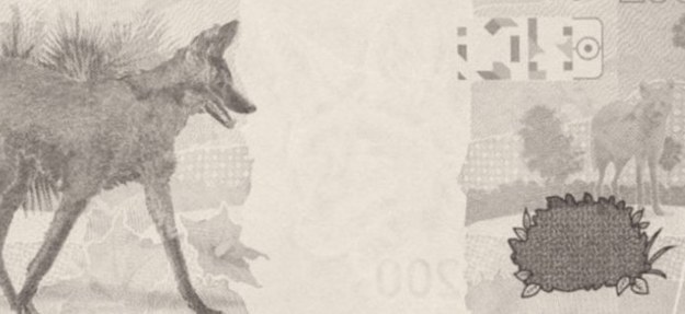 Escolha uma cédula antiga de moeda brasileira: