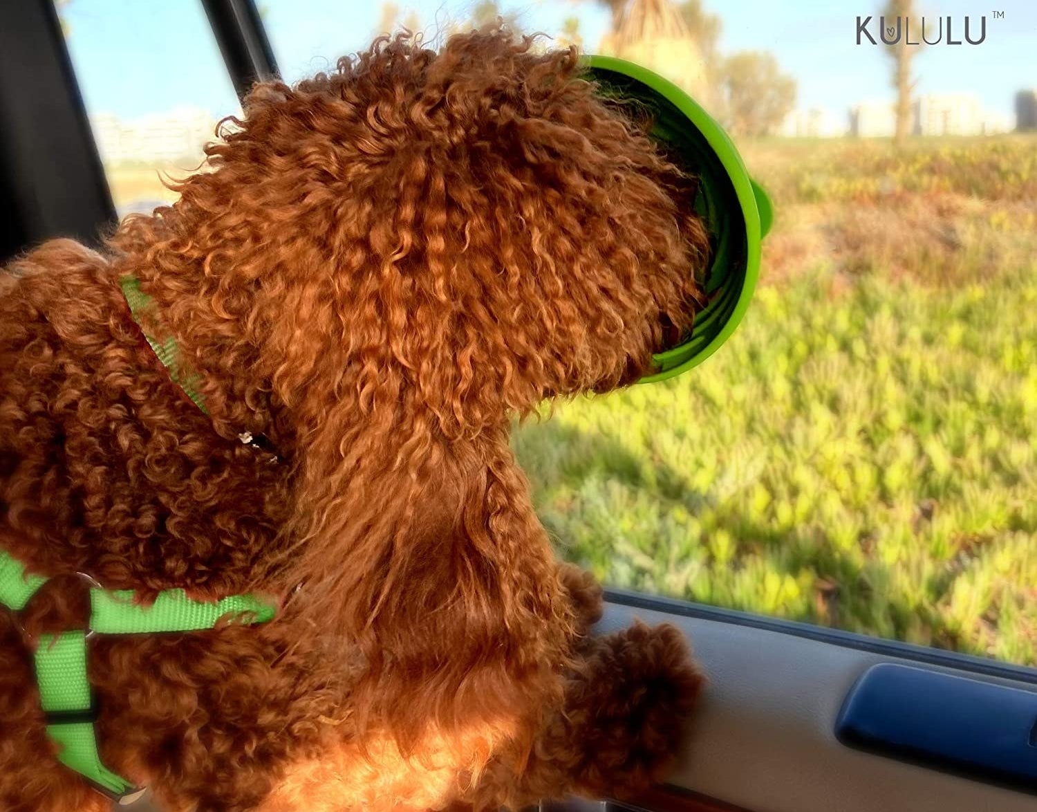 Green textured bowl suctioned to car window with dog licking it