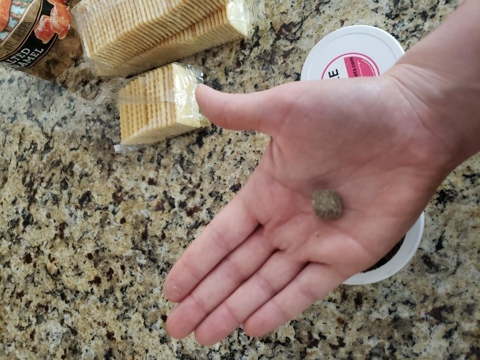 Reviewer holding dime-sized calming chew
