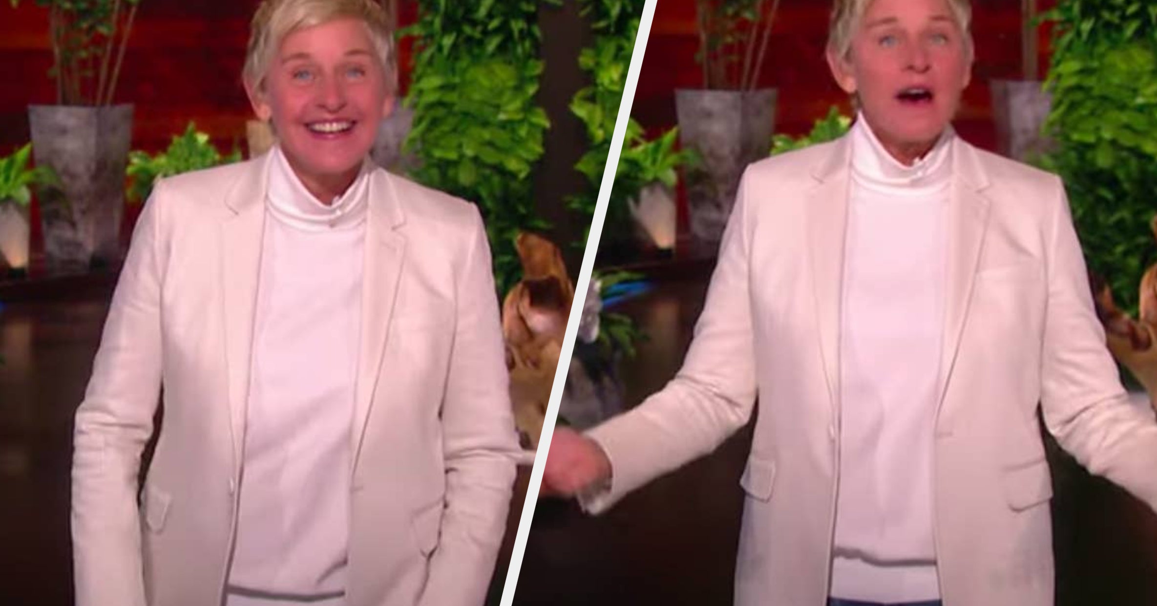 Ellen DeGeneres Has Publicly Addressed Allegations Of Misconduct On Her ...