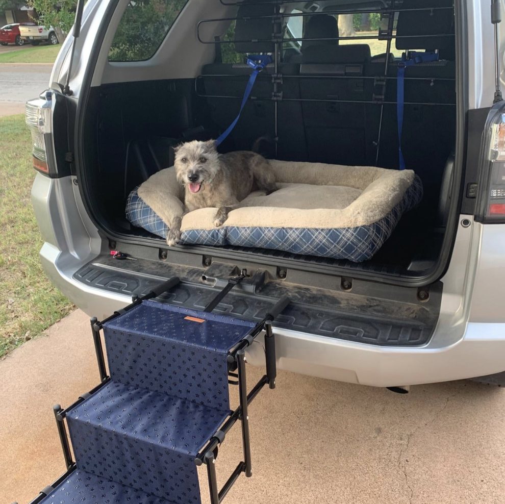 18 Things From Amazon For Dogs Who Love Going For A Drive